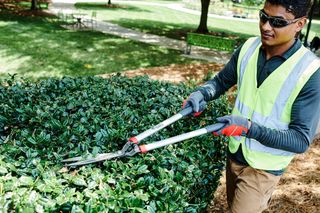 A person trimming a hedge with a pair of garden shears in a park setting.