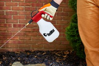 A person using a handheld sprayer to apply liquid near a brick wall and a small bush.
