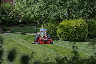 A person mowing lawn with a ride-on mower in a garden.